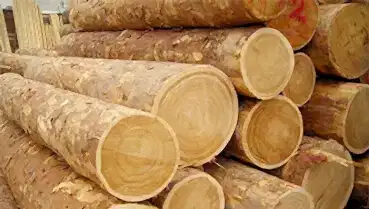 Изображение бани